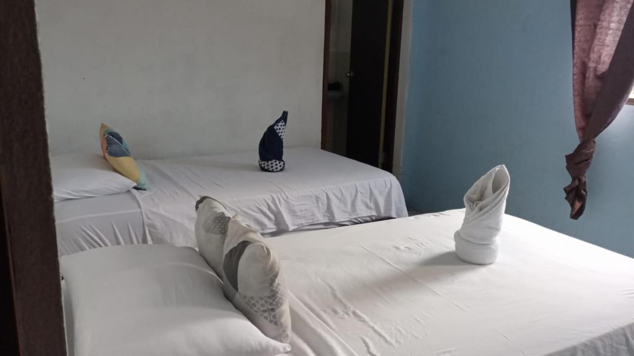 Casa De Alexis 호텔 푸에르토 바케리조 모레노 외부 사진